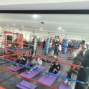 용인대 GX 복싱체육관 이미지