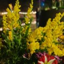 안산공원 화장실 이미지