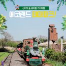 [항공] 1박2일 초특가 특별행사 제주도(한라산) 산행 및 관광 1차=6월28일 / 2차=7월5일 / 3차=7월12일 이미지