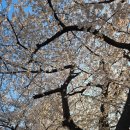 개금2동-2 이미지