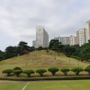 선성군 묘역 및 석물 이미지