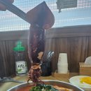 풍년식당 티스토리