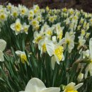 열린국제행정사사무소 이미지