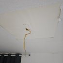 주공11단지 이미지