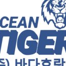 주식회사 호랑이