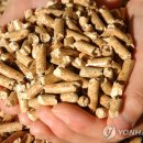 제이에스에프앤비