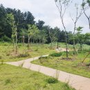 연오랑파크 풀빌라 이미지