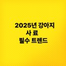 퍼피트렌드 | 2025년 강아지 사료 필수 트렌드(사료 트렌드,맞춤형 사료,브랜드)