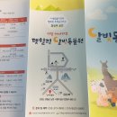 나뱅이길 | 강원도 영월 가볼만한 곳 달빛동물원 다녀온 후기