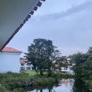 에코랜드수영장 이미지