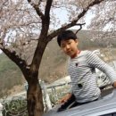 자천초등학교보현분교 이미지