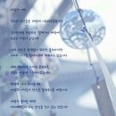 바람의기억 이미지