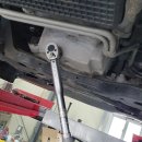 정카센타 이미지