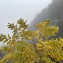 찬조농장 Daum카페