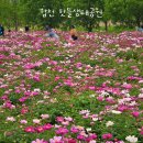 임호체육공원진입로 | 합천 핫들생태공원 작약 실시간 및 주차장 정보