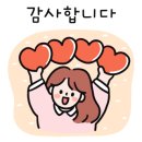 [8월 재능나눔] 식물감정카드와 함께하는 셀프코칭 이미지