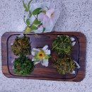 산과들애 이미지