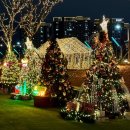 우리들빨래터 | 대구 앞산 빨래터공원 해넘이전망대 겨울정원 크리스마스 축제 주차장