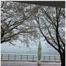 꽃지늘봄펜션 이미지