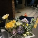 드로우플레르