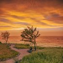 카페보리 이미지