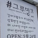 진교애견샵 - 하동군 민다리길 73 | 진교애견샵