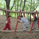 맑고향기로운연꽃동산어린이집 놀이터 이미지