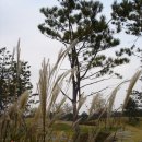 에너벨리 이미지