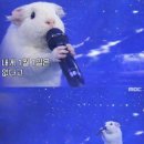 이* - 해남군 | 이*
