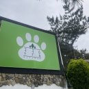 쿠쿠숲 | 밀양 애견 동반 펜션 [쿠쿠숲펜션] 개별 마당 수영장 이용 가능