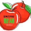 [10월 정모 후기] 진도에서 엘레강스한 1박 2일 이미지