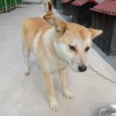 동면주유소 이미지
