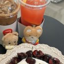카몽
