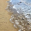 K.M.S TV노래방 | 2026년 2월 일상: 동기MT와 공주 여행(not princess)