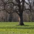 소설로 배우는 영어 이미지