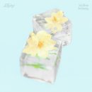 Everlastin 이미지