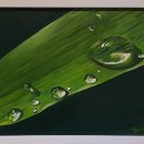 대구교육대학교 교육대학원 이미지