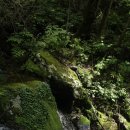 노동오토캠핑장 이미지