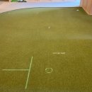 퍼팅 | [해운대골프/퍼팅레슨후기] 10년 연습보다 중요한 1시간, 당신의 '퍼팅 MBTI'을 아십니까?