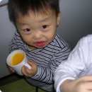 도연농장 Daum카페