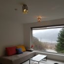 피그멜리온 이펙트 이미지