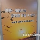 김앤송 사주타로