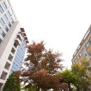 한국영상대학교 이미지