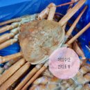 해일수산