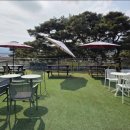 늘,파인 이미지