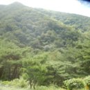 신세계 리조트 이미지