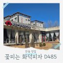 꽃피는화덕피자D485 | 안동 화덕피자 맛집 추천, 꽃피는 화덕피자D485