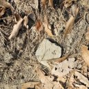 마봉재보루 이미지