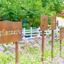 장생포고래로 이미지