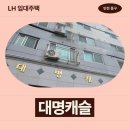 송도중학교 | 인천광역시 중구 제물량로113번길 21(신흥동1가) 대명캐슬 | LH 임대주택 신청 전 거주후기 확인